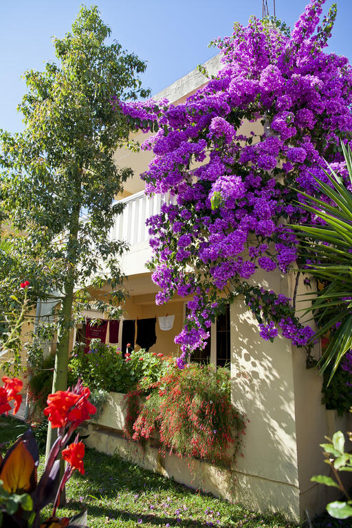 Apartments Angela Budva Luaran gambar